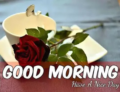 Good Morning Images Good Morning Images