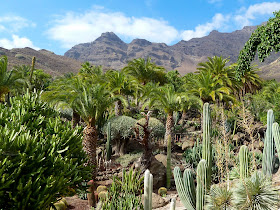 Roadtrip Gran Canaria – Bei dieser Inselrundfahrt lernst du Gran Canaria kennen! Sightseeingtour Gran Canaria. Die schönsten Orte auf Gran Canaria 11
