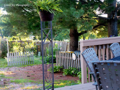 Gentle Joy Homemaker: Picket Fence Hides the Trash Cans...