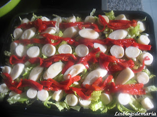 ENSALADA DE VENTRESCA