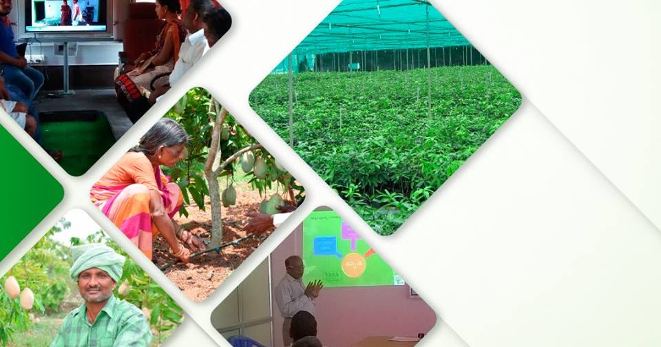 Jain Farm Fresh