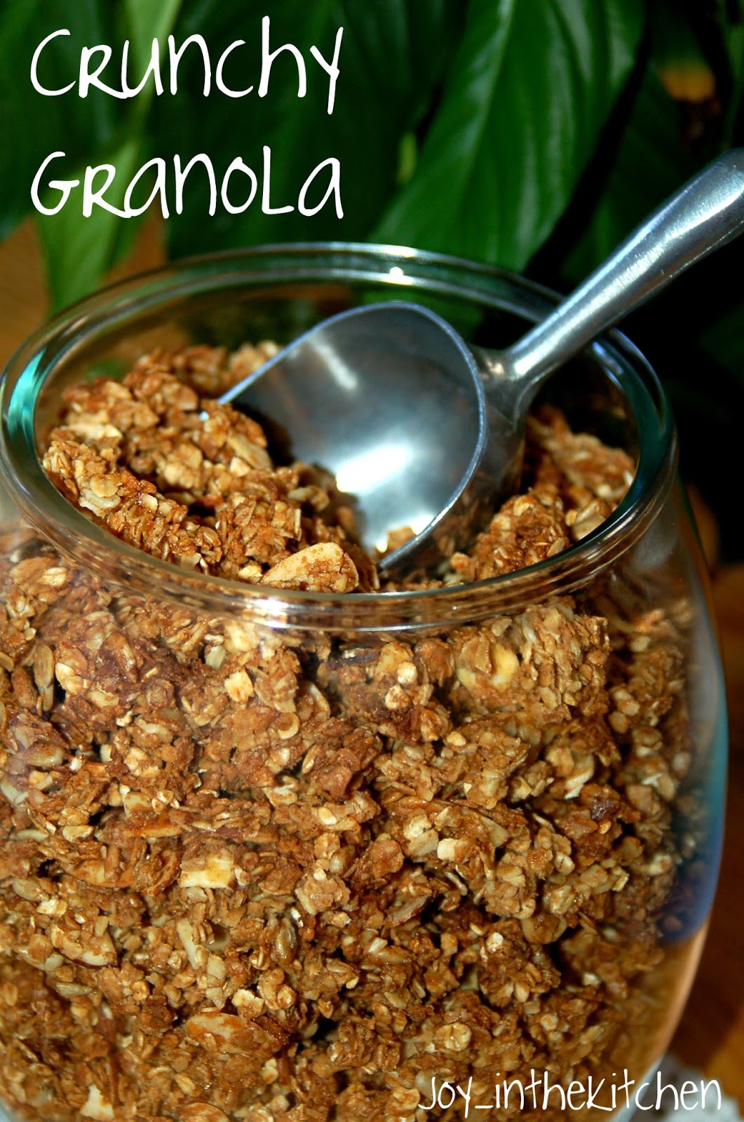 Joy in the Kitchen! Crunchy Granola
