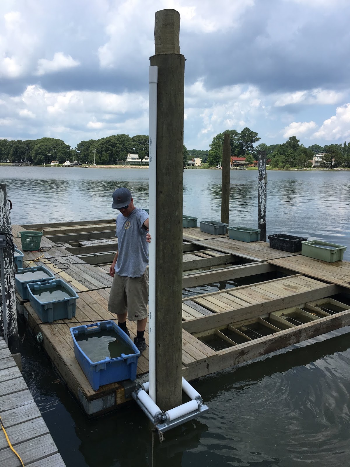 THE OYSTER IS OUR WORLD UPWELLING AND UPWELLERS