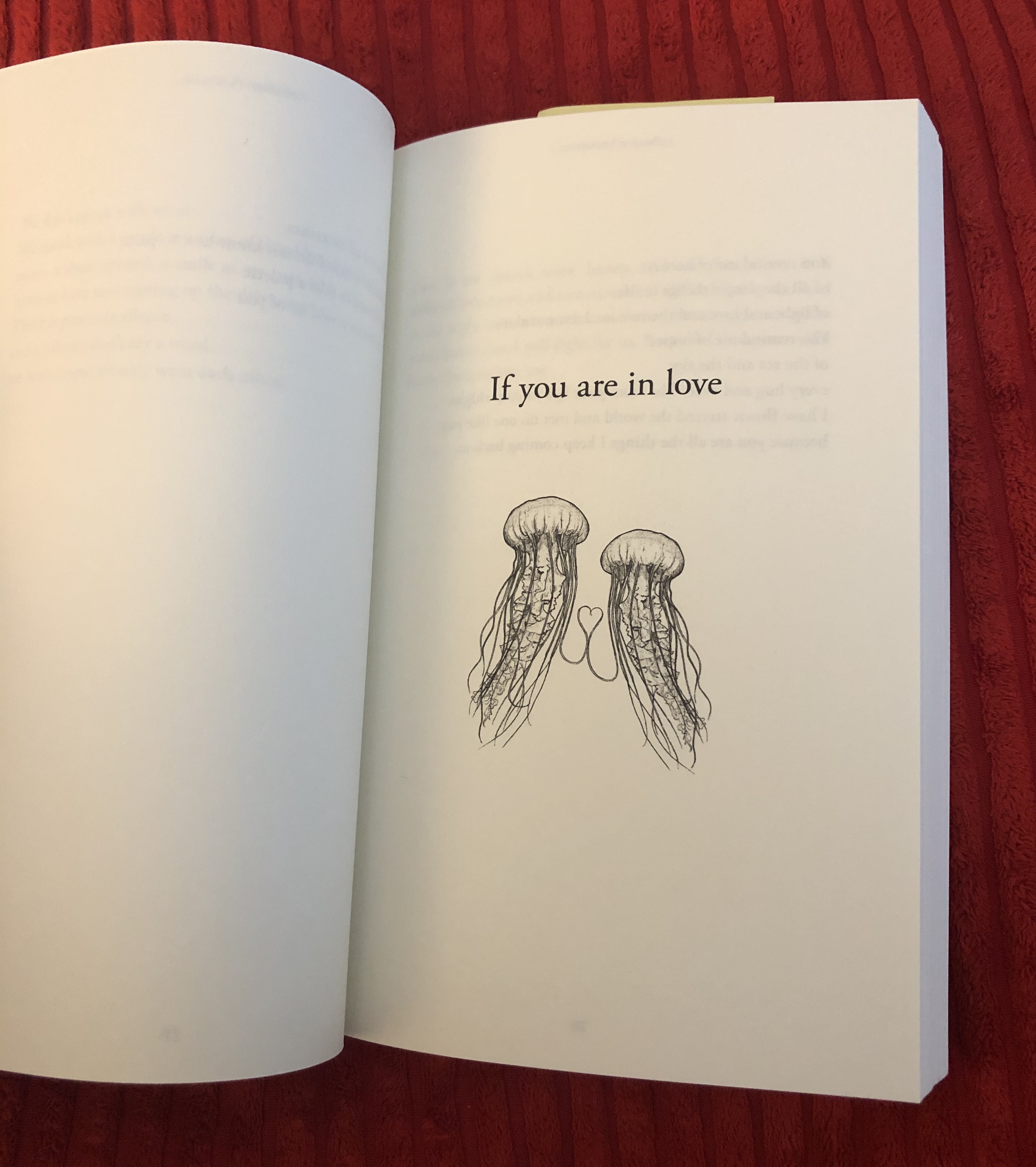 Pillow Thoughts A Book Review Positively Weightless