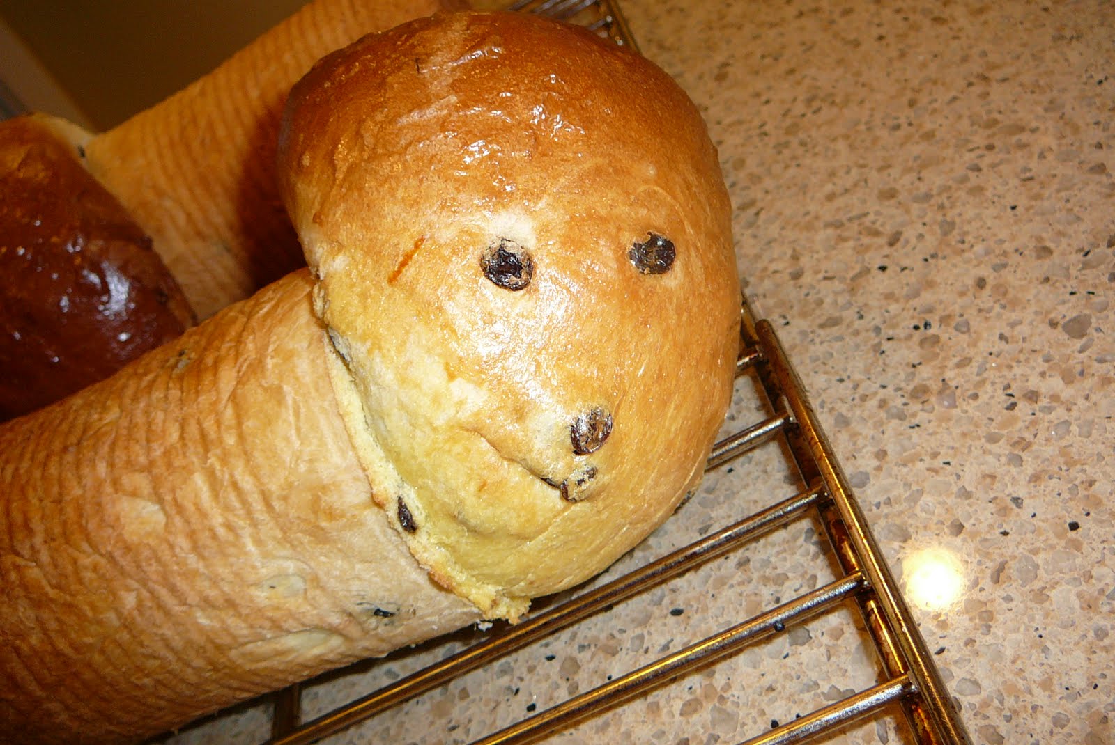 Rise and Bake! Babka (Ukrainian Easter Raisin Bread)