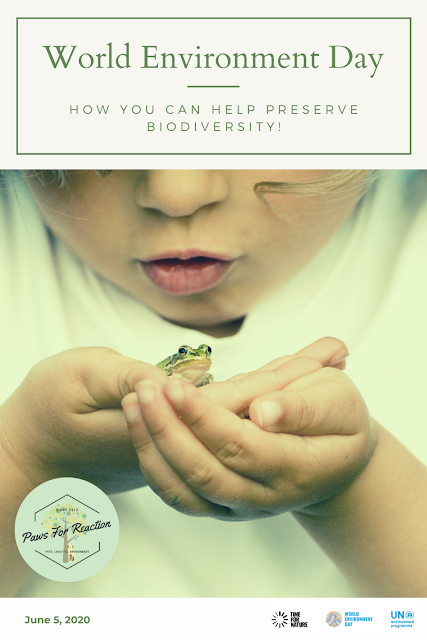 Fall back in love with nature on World Environment Day: Learn how you can help preserve biodiversity