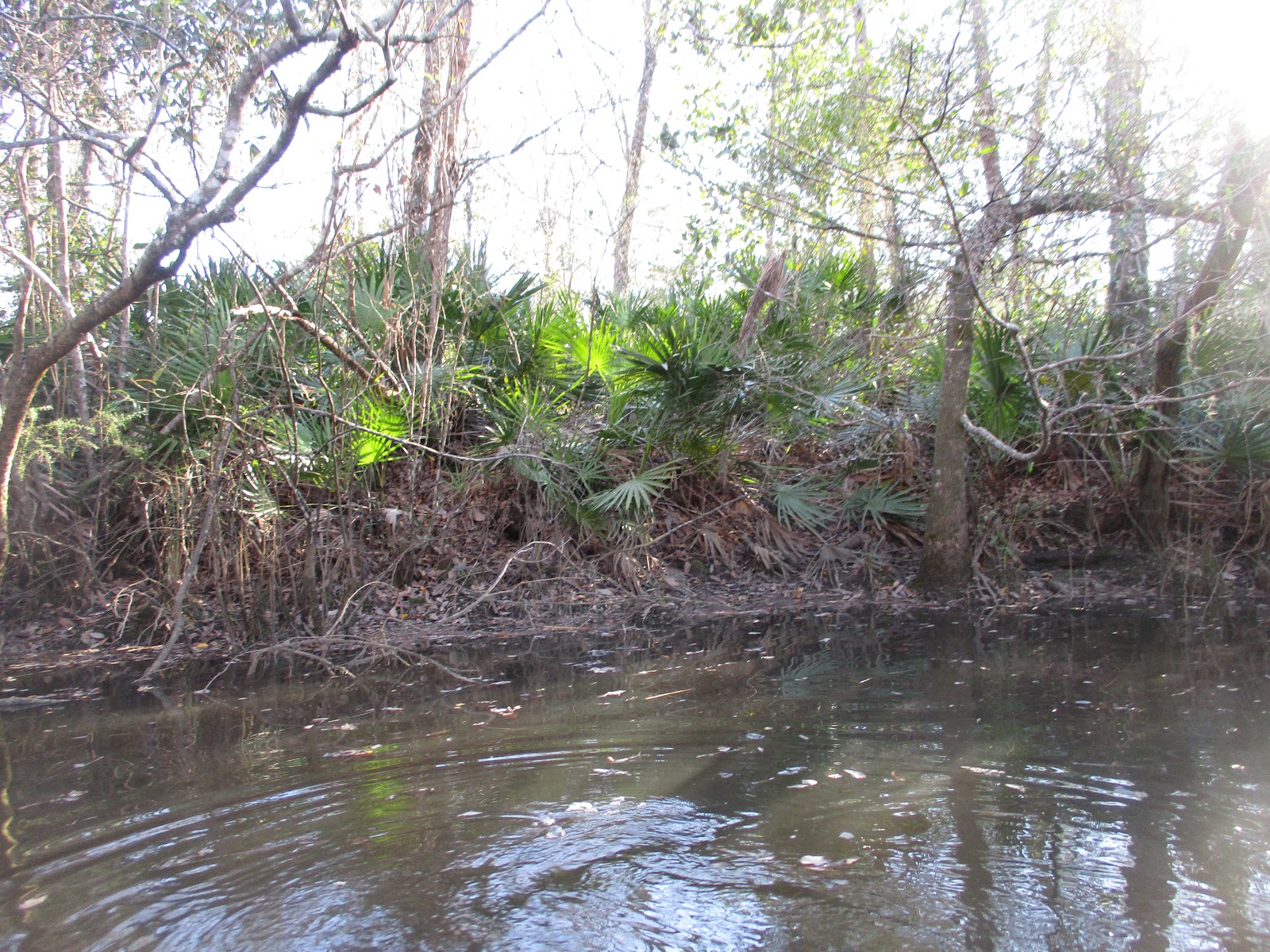 Dave's Yak Tales Jourdan River. Kiln, Mississippi