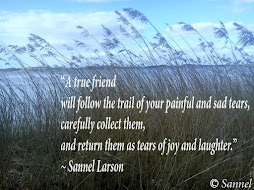 Quote by Sannel Larson