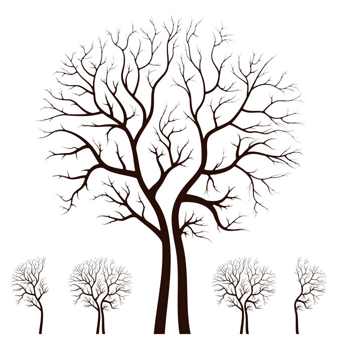 corel draw tree clip art download - photo #10