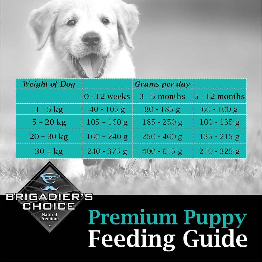 Choosing the right Puppy food...