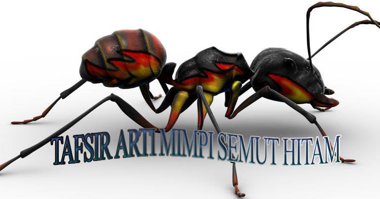 Tafsir Arti Mimpi Semut Hitam Menurut Taruhan Togel Tafsir Arti Mimpi Semut Hitam Menurut Taruhan Togel