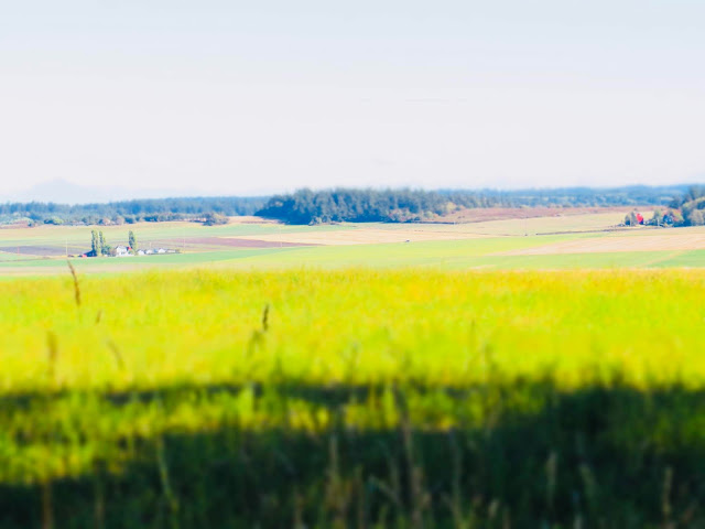 Pratt Loop Trail at Robert Y. Pratt Preserve, Coupeville, Whidbey Island