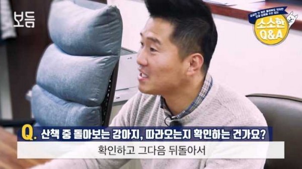 강아지가 먼저가서 뒤돌아보는 이유.jpg | 인스티즈