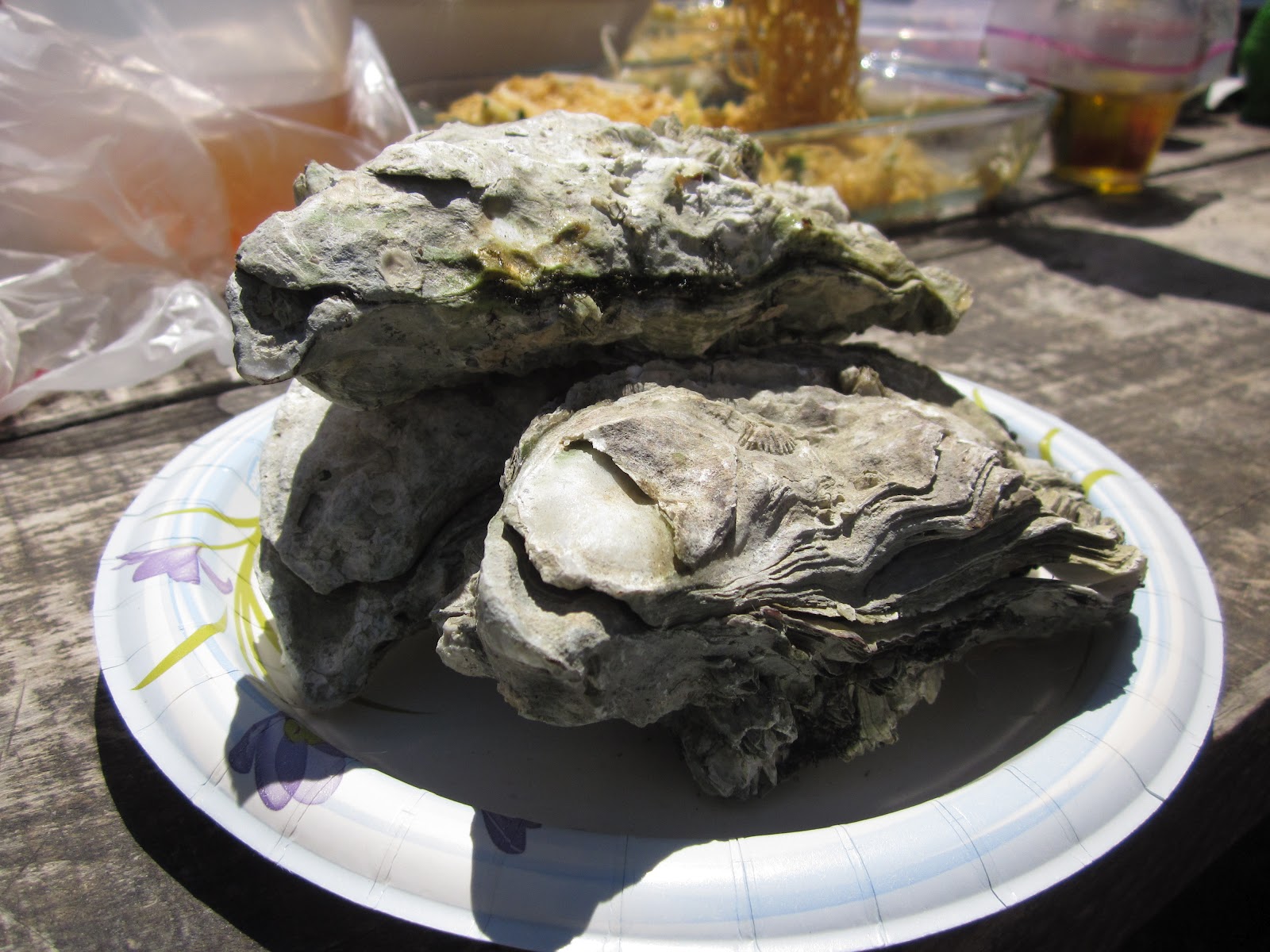 San Jose Food Blog Foodbuzz 24x24 Tomales Bay Oyster Picnic
