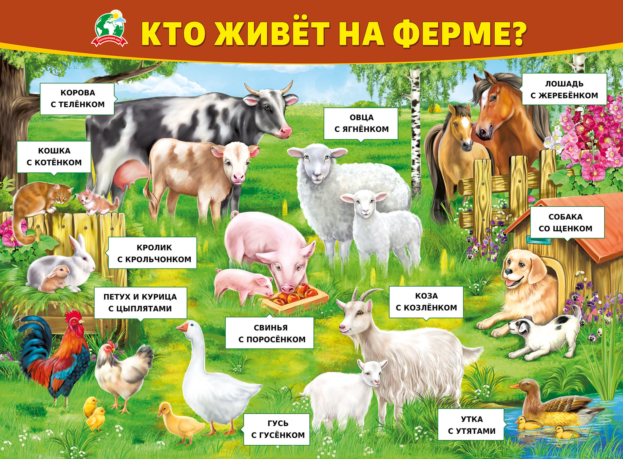 Кто живет 4 часа. Плакат кто живет на ферме. Плакат. Домашние животные.. Плакат с домашними животными для детей. Плакат домашние животные для детей.