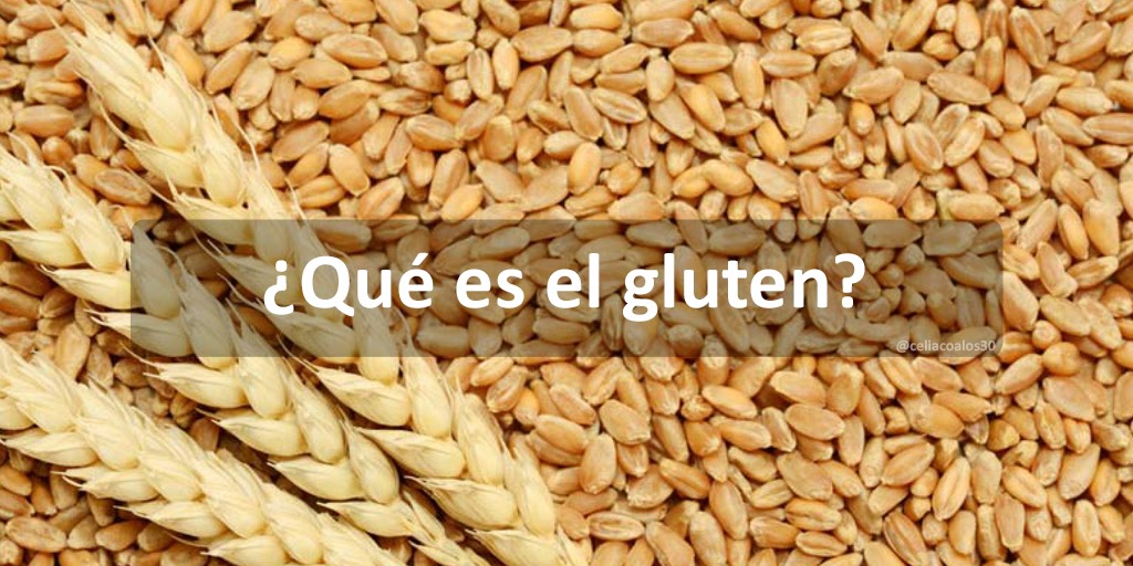 El Gluten. ¿Qué es? ¿Para qué se utiliza?