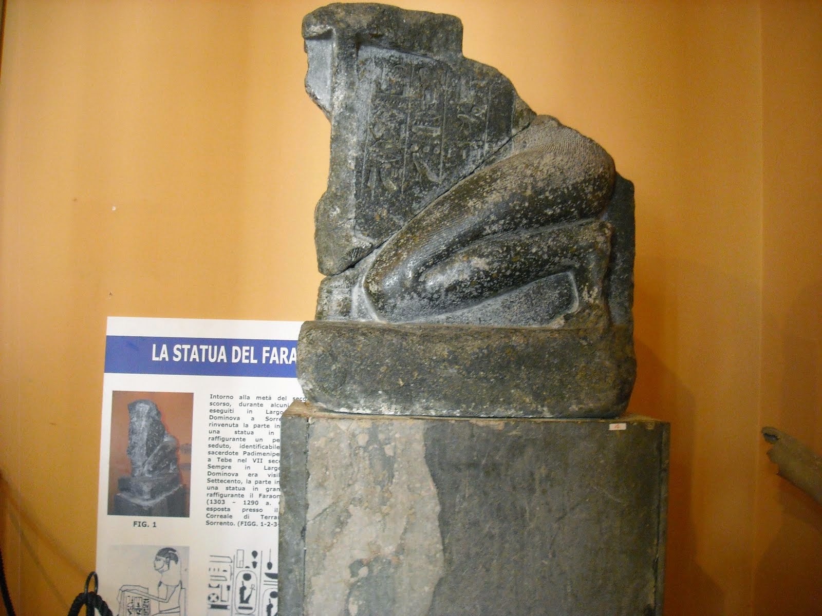 La collezione archeologica del Museo Correale