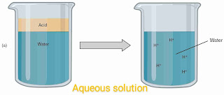 why does an aqueous solution of an acid conduct electricity