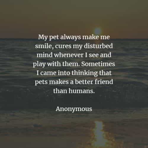 Pet quotes and sayings that inspire a love for animals