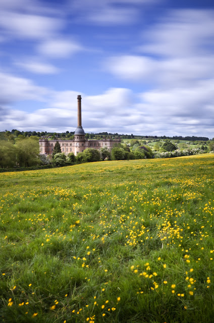 Bliss Tweed Mill at Chipping Norton with buttercups by Martyn Ferry Photography