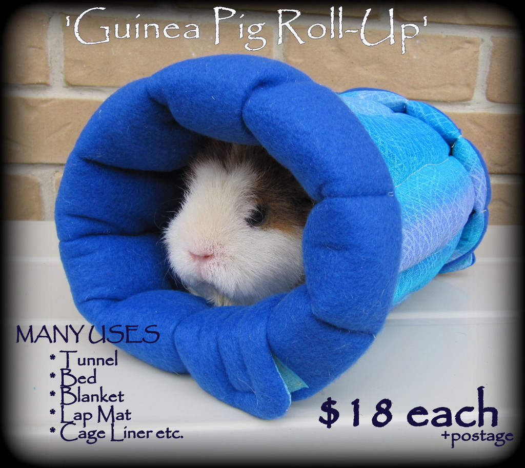 All Things Guinea Pig Cuddle Sacks