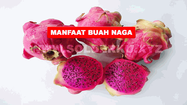 MANFAAT BUAH NAGA MERAH UNTUK IBU HAMIL