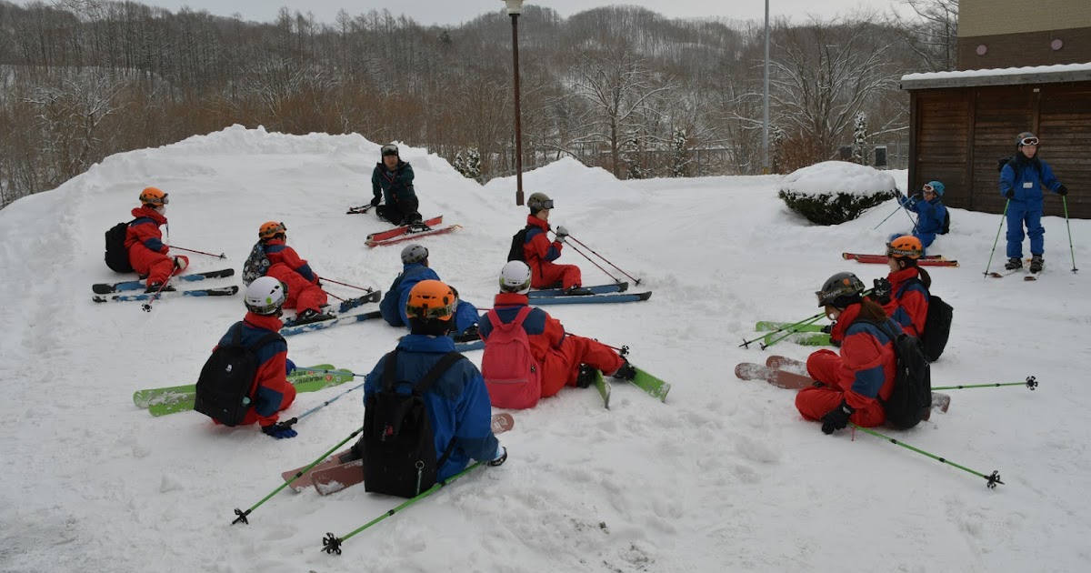 北方林: 特徴、動植物 - 北方林の植物相