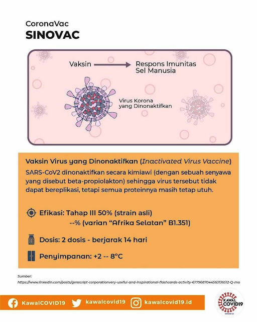 efek vaksin sinovac