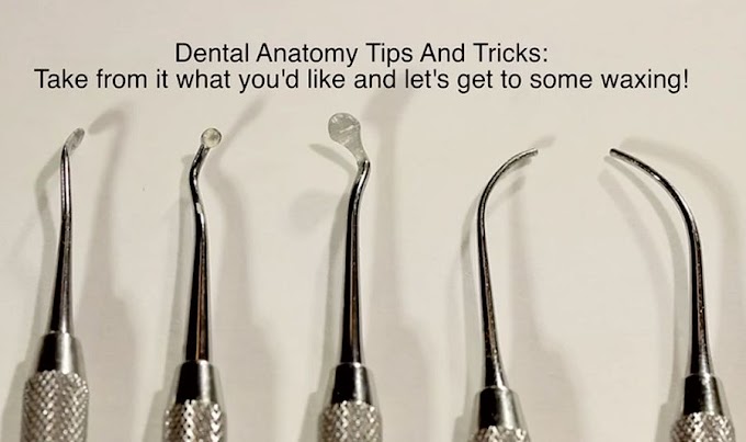 COURSE: Dental Anatomy Waxing Tips and Tricks