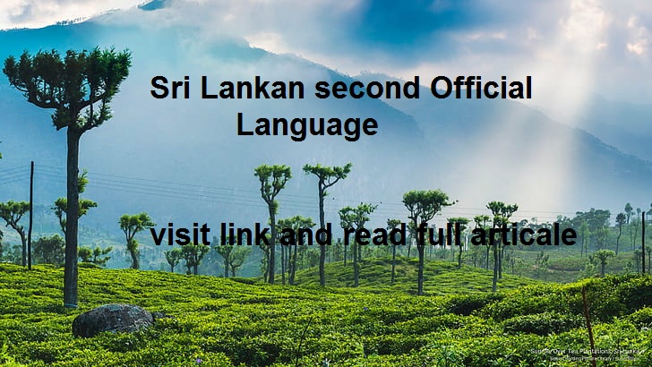 Sri lanka language