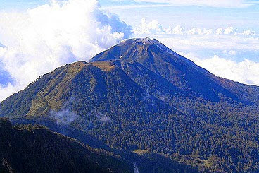 Pendakian Gunung Welirang 3.156 mdpl via Tretes