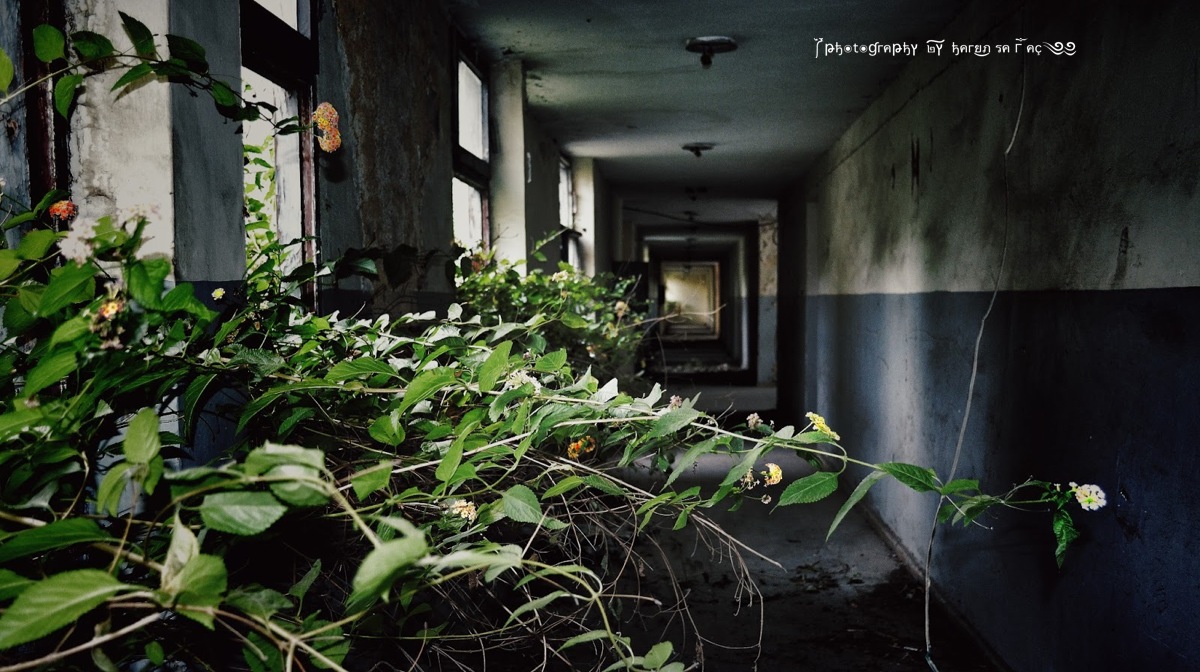 քɦօtօɢʀǟքʏ ɮʏ ɦǟʀʊռ รǟʀǟç