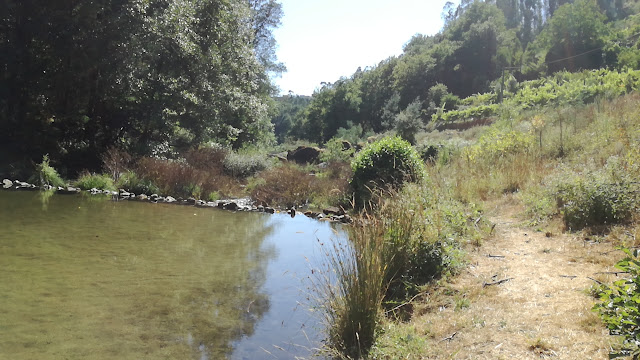 Praia Fluvial da Rega