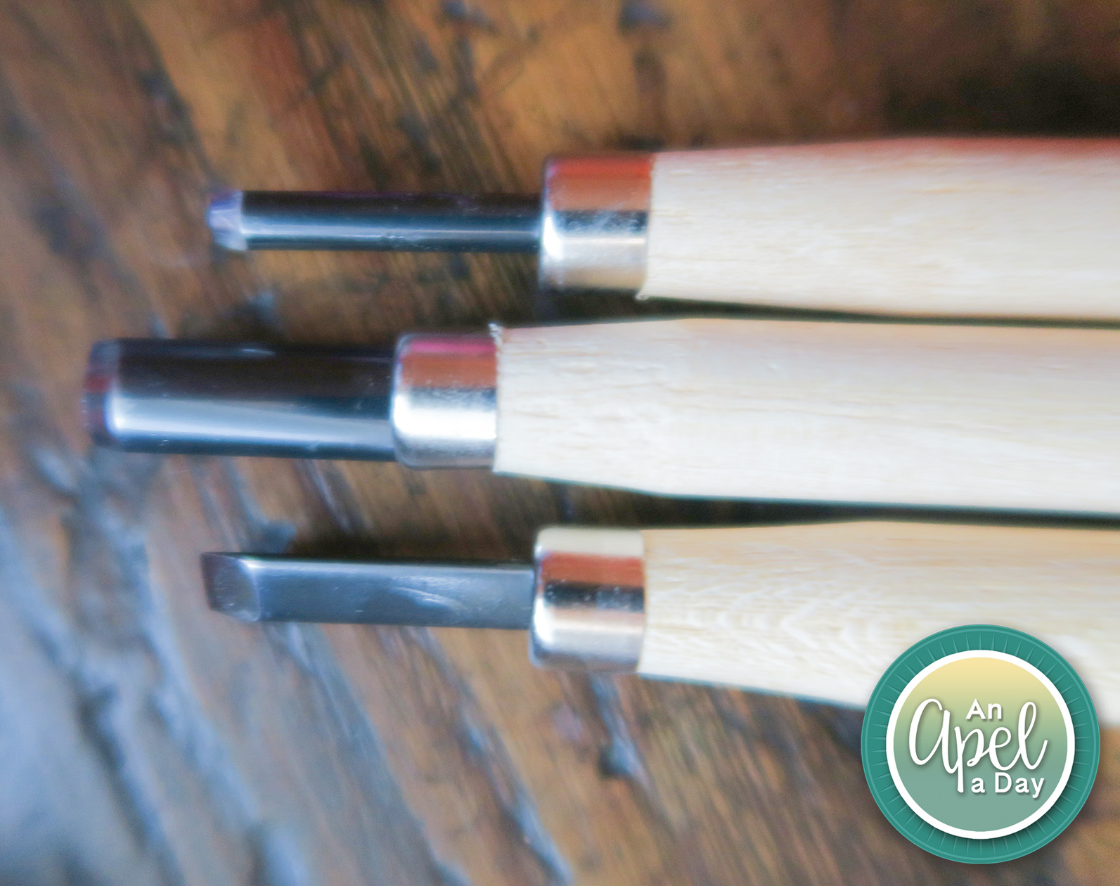 An Apel a Day Beginner's Carving Tool Set Review