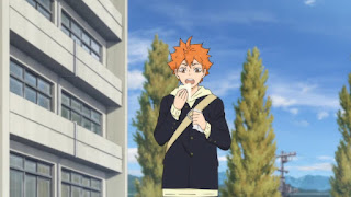 Hellominju.com: ハイキュー!! アニメ第4期 | 日向翔陽 | Haikyū!! | HINATA SHOYO | Hello Anime !