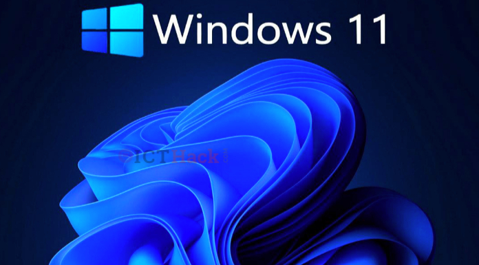 Windows 11