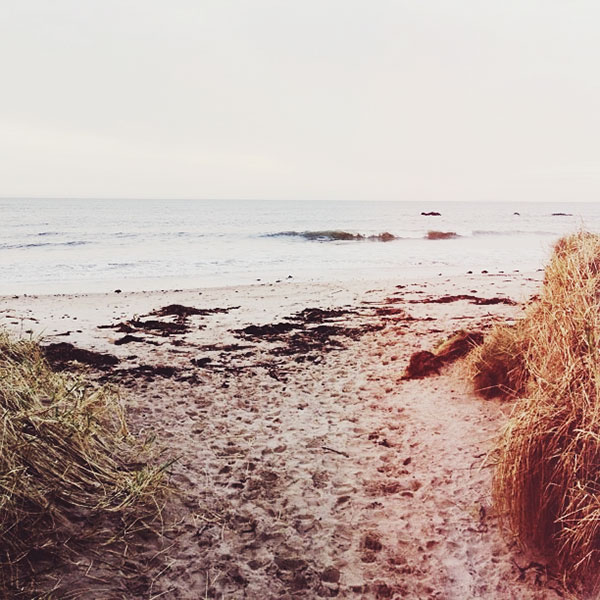 {travel inspiration : north berwick & a spring-like day in mid-february}