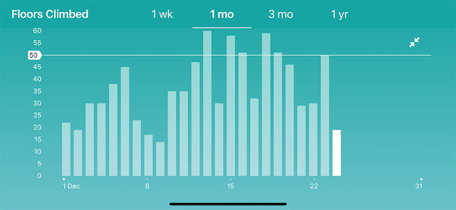 Fitbit Health And Fitness Scores And Stats Explained