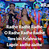 Radhe Radhe Radhe | Dream Girl | Full Song Lyrics with English Translation and Real Meaning | Meet Bros, Amit & Kumaar | Aayushmann Khurrana & Nushrat