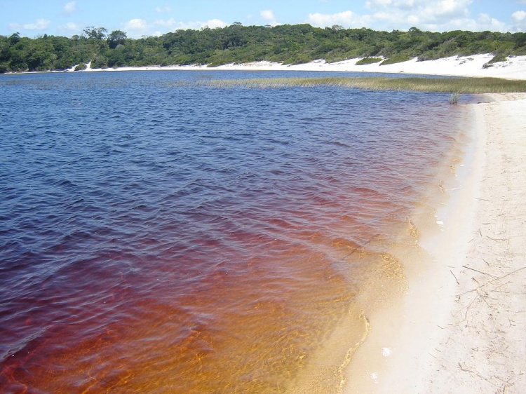 Resultado de imagem para lagoa coca cola baia formosa