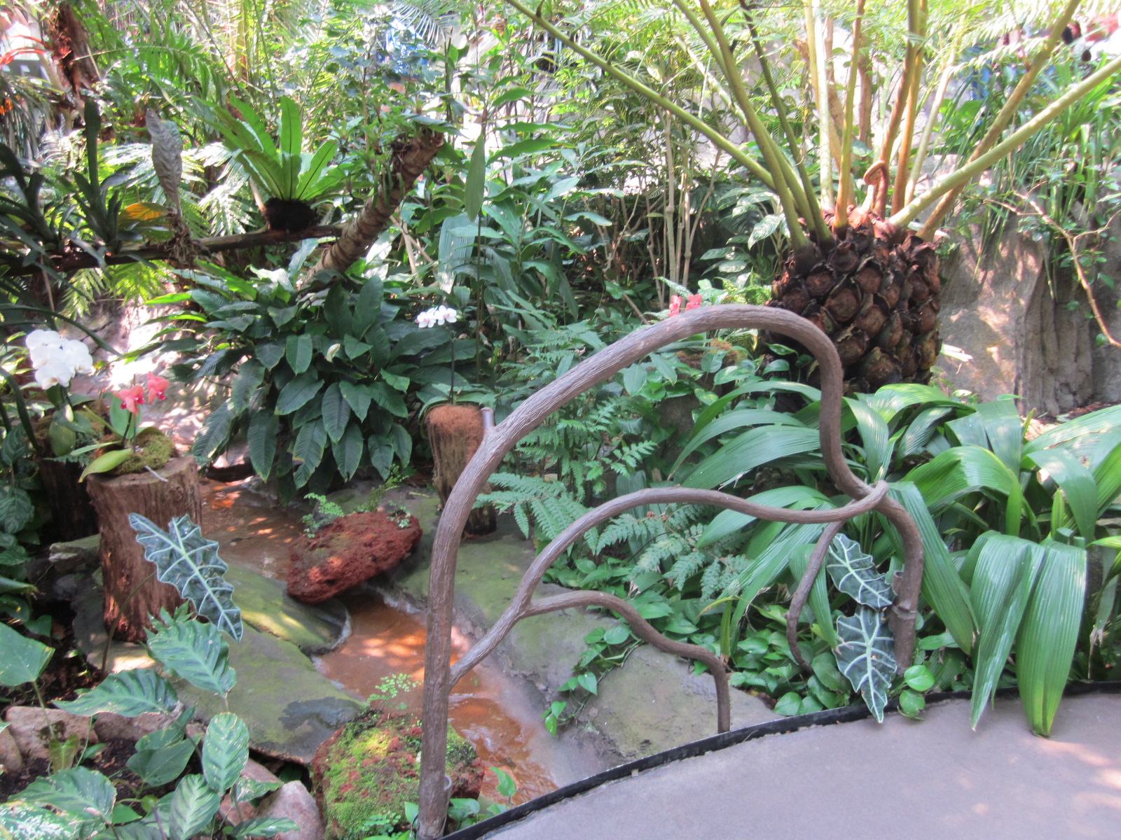 Travel NC With Kids North Carolina Zoo Aviary So Much Beauty Under