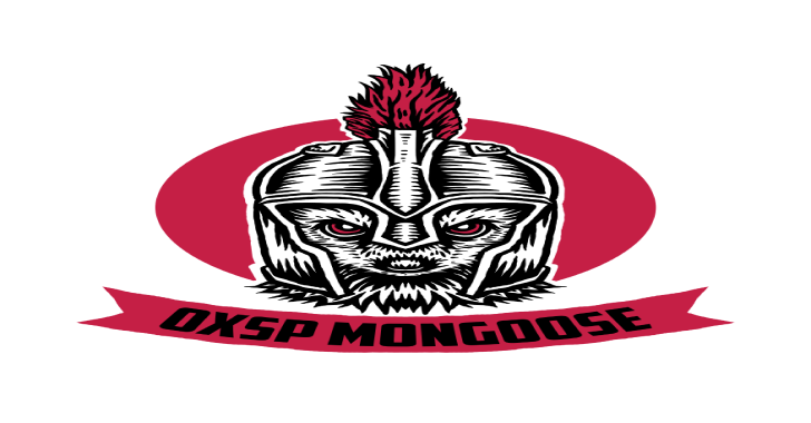 0xsp Mongoose : Privilege Escalation Enumeration Toolkit (64/32 )