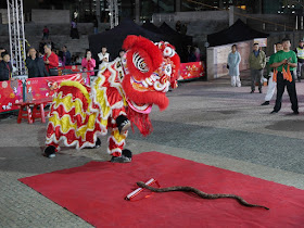 Red Chinese lion looking at a scroll and stuffed snake
