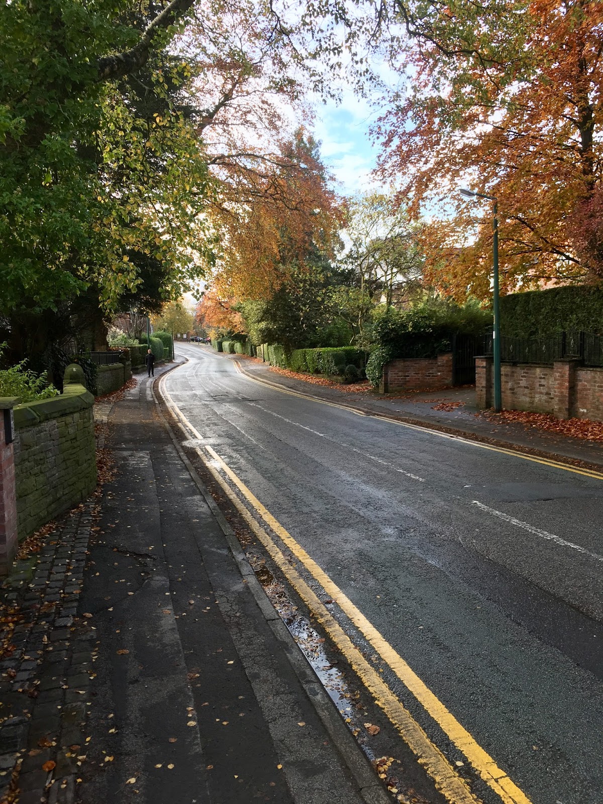 Cllr Craig Browne (Alderley Edge WARD) PATCHING WORKS HEYES LANE