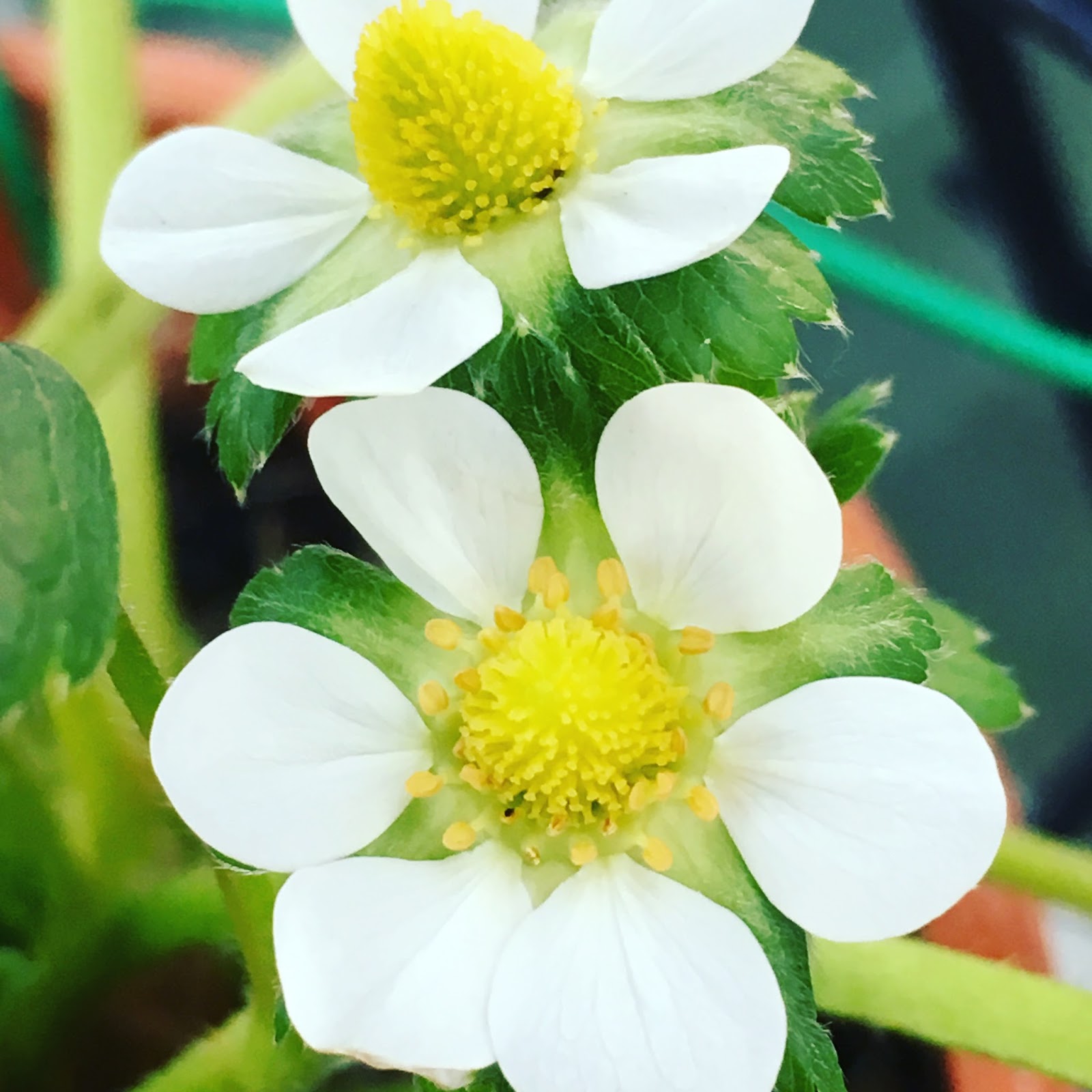 Life Can Be Marvelous!