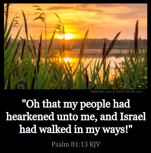 2 Timothy 2 15 Truth Verse Of The Day Psalm 81 13 KJV 2-timothy-2-15-truth-verse-of-the-day-psalm-81-13-kjv