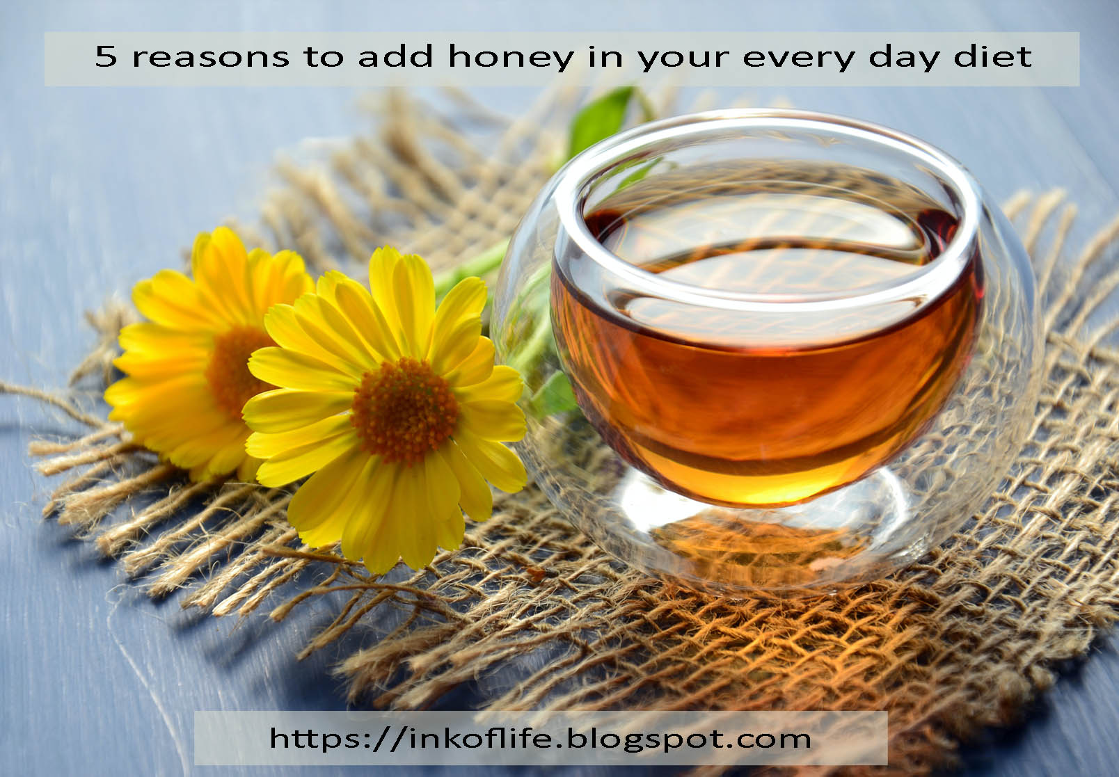 5 reasons to add honey in your every day diet Ink of Life