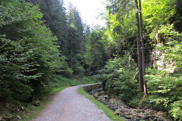 andalo molveno sentiero passeggiata