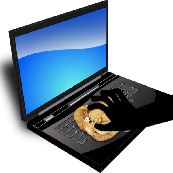 Кража или парсинг файлов cookie Зачем хакерам нужны ваши файлы cookie