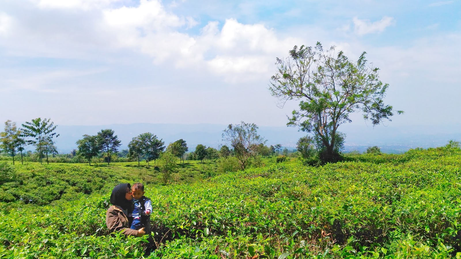 Cuci Mata ke Wisata Alam Pondok Halimun Sukabumi - Lingga ...